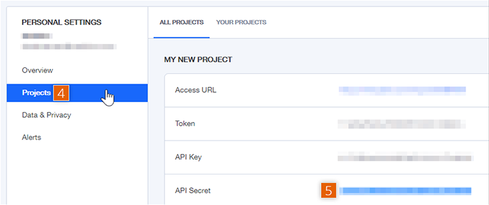 Projects window on Settings page