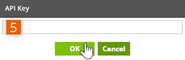 Paste the API Key