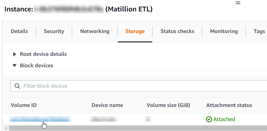Selecting the storage volume on the Storage tab of the instance details panel