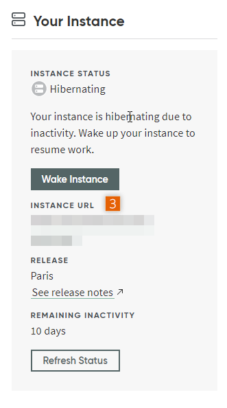 Your Instance Instance