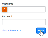 Log in to My Instance