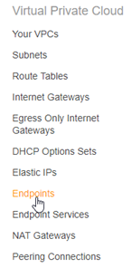 Endpoints menu option