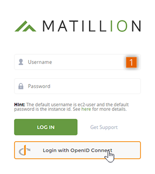 Matillion ETL login screen with OpenID