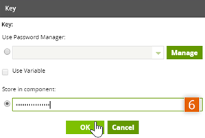 Paste API Key