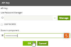 Paste the API key