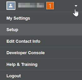Salesforce Output homepage