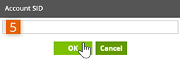 Paste the ACCOUNT SID