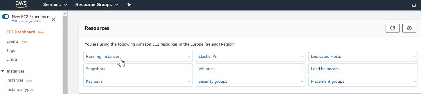 Instances section of the EC2 Management Console