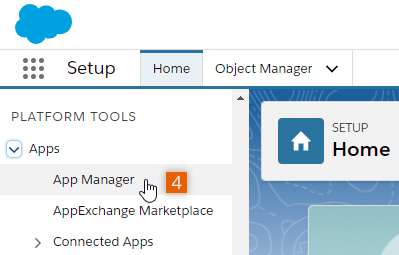 Access App Manager