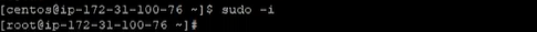 Sudo to root