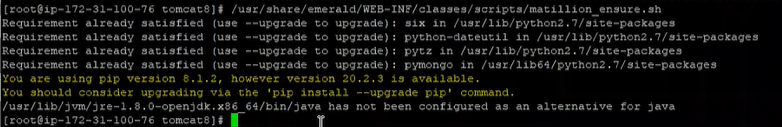 Run YUM updates