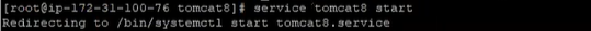 Start the server